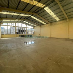 Pavilhão com 800m², no bairro Sagrada Família em Caxias do Sul para Alugar