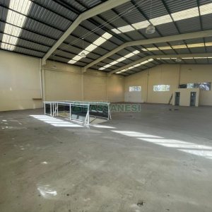 Pavilhão com 800m², no bairro Sagrada Família em Caxias do Sul para Alugar