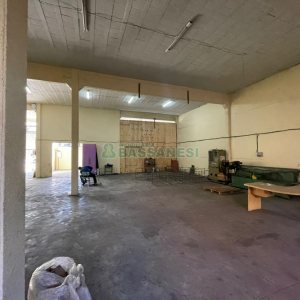 Pavilhão com 800m², no bairro Sagrada Família em Caxias do Sul para Alugar