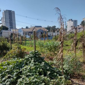 Terreno com 361m², no bairro Bela Vista em Caxias do Sul para Comprar
