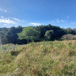 Terreno com 10000m², no bairro São Ciro em Caxias do Sul para Comprar