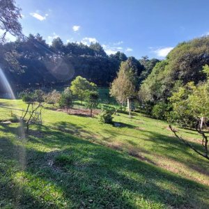 Terreno com 10000m², no bairro São Ciro em Caxias do Sul para Comprar