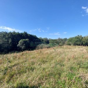 Terreno com 10000m², no bairro São Ciro em Caxias do Sul para Comprar