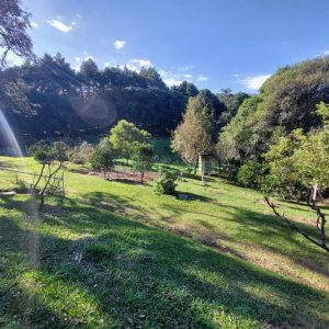 Terreno com 10000m², no bairro São Ciro em Caxias do Sul para Comprar