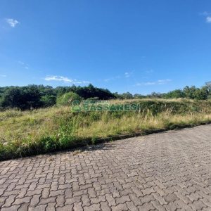 Terreno com 10000m², no bairro São Ciro em Caxias do Sul para Comprar