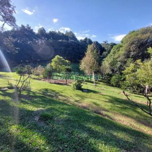 Terreno com 10000m², no bairro São Ciro em Caxias do Sul para Comprar