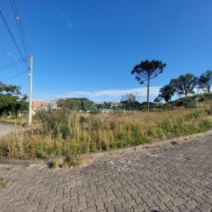Terreno com 2807m², no bairro São Ciro em Caxias do Sul para Comprar