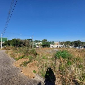 Terreno com 2807m², no bairro São Ciro em Caxias do Sul para Comprar