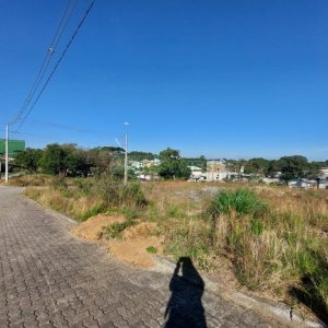 Terreno com 2807m², no bairro São Ciro em Caxias do Sul para Comprar