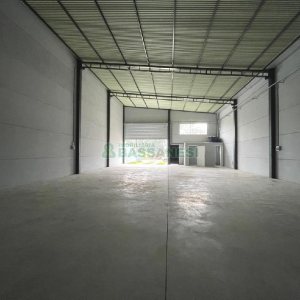 Pavilhão com 250m², no bairro Vila Verde em Caxias do Sul para Alugar