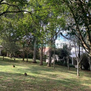 Chácara, no bairro Pedancino em Caxias do Sul para Comprar