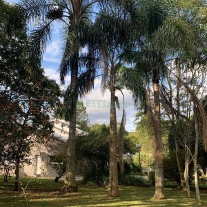 Chácara, no bairro Pedancino em Caxias do Sul para Comprar