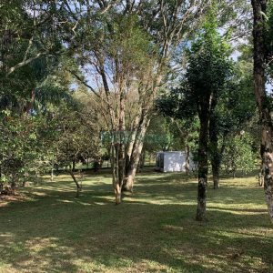 Chácara, no bairro Pedancino em Caxias do Sul para Comprar