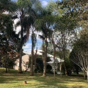 Chácara, no bairro Pedancino em Caxias do Sul para Comprar