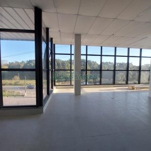 Sala com 62m², no bairro São Ciro em Caxias do Sul para Alugar