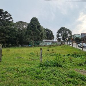 Terreno com 2300m², no bairro São Ciro em Caxias do Sul para Comprar