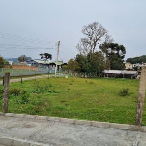 Terreno com 2300m², no bairro São Ciro em Caxias do Sul para Comprar