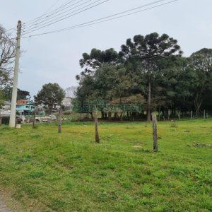 Terreno com 2300m², no bairro São Ciro em Caxias do Sul para Comprar