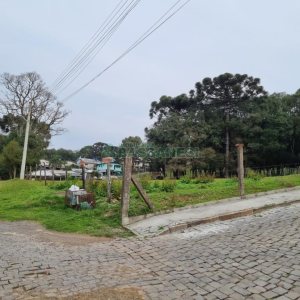 Terreno com 2300m², no bairro São Ciro em Caxias do Sul para Comprar
