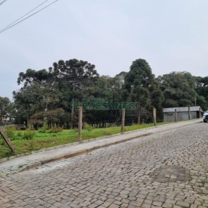 Terreno com 2300m², no bairro São Ciro em Caxias do Sul para Comprar