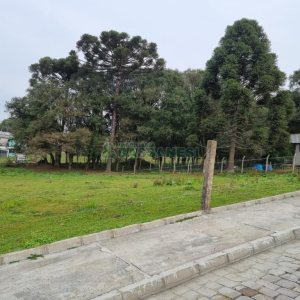 Terreno com 2300m², no bairro São Ciro em Caxias do Sul para Comprar