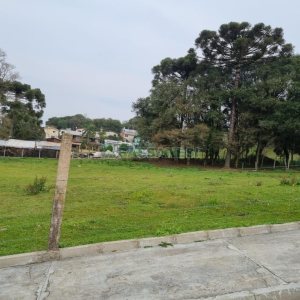 Terreno com 2300m², no bairro São Ciro em Caxias do Sul para Comprar