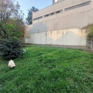 Casa com 450m², 4 dormitórios, 2 vagas, no bairro Lourdes em Caxias do Sul para Comprar