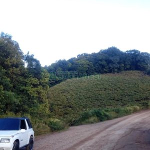 Chácara, no bairro Monte Bérico em Caxias do Sul para Comprar