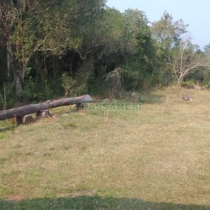 Chácara com 100m², 3 dormitórios, no bairro Criúva em Caxias do Sul para Comprar