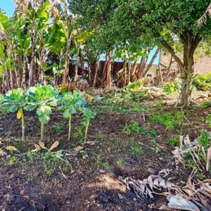 Casa com 63m², 3 dormitórios, 1 vaga, no bairro Esplanada em Caxias do Sul para Comprar