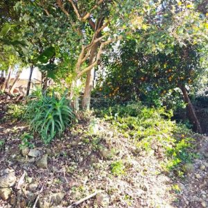 Casa com 63m², 3 dormitórios, 1 vaga, no bairro Esplanada em Caxias do Sul para Comprar