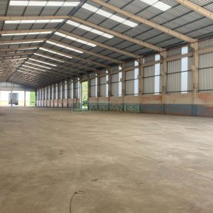 Pavilhão com 2750m², no bairro Otavio Rocha em Flores da Cunha para Alugar
