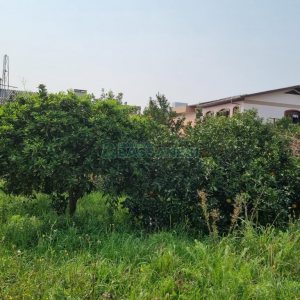 Terreno com 363m², no bairro Santa Lúcia em Caxias do Sul para Comprar