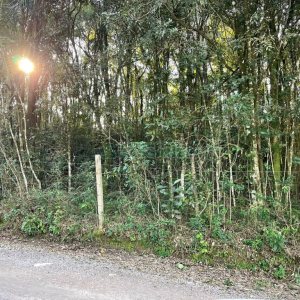 Terreno com 10062m², no bairro Pedancino em Caxias do Sul para Comprar