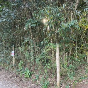 Terreno com 10062m², no bairro Pedancino em Caxias do Sul para Comprar