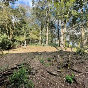 Casa com 120m², 3 dormitórios, 1 vaga, no bairro Cruzeiro em Caxias do Sul para Comprar