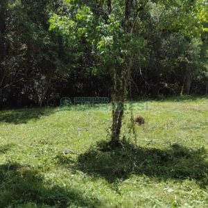 Chácara, no bairro Pedras Brancas em São Marcos para Comprar