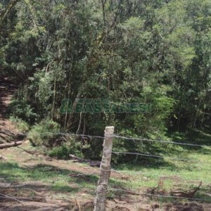 Chácara, no bairro Pedras Brancas em São Marcos para Comprar