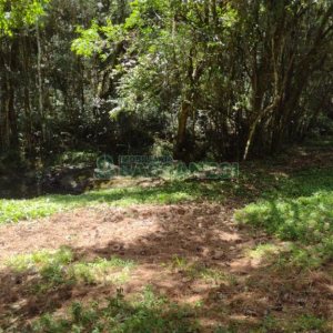 Chácara, no bairro Pedras Brancas em São Marcos para Comprar