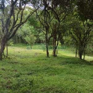 Chácara, no bairro Pedras Brancas em São Marcos para Comprar