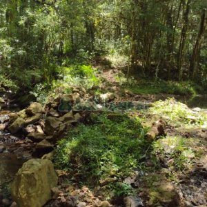 Chácara, no bairro Pedras Brancas em São Marcos para Comprar