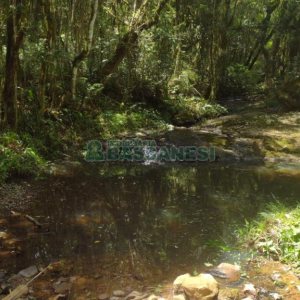 Chácara, no bairro Pedras Brancas em São Marcos para Comprar
