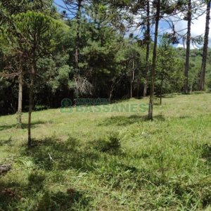Chácara, no bairro Pedras Brancas em São Marcos para Comprar