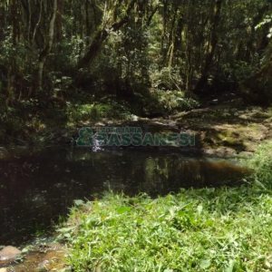 Chácara, no bairro Pedras Brancas em São Marcos para Comprar