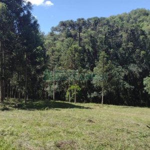 Chácara, no bairro Pedras Brancas em São Marcos para Comprar