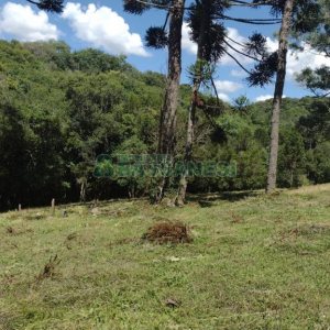 Chácara, no bairro Pedras Brancas em São Marcos para Comprar