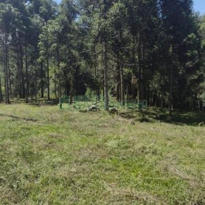 Chácara, no bairro Pedras Brancas em São Marcos para Comprar