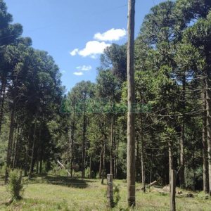 Chácara, no bairro Pedras Brancas em São Marcos para Comprar