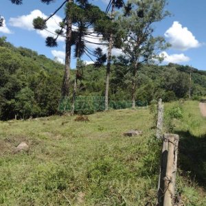 Chácara, no bairro Pedras Brancas em São Marcos para Comprar