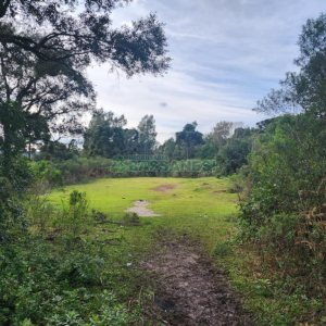 Terreno com 50544m², no bairro Salgado Filho em Caxias do Sul para Comprar